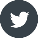 logo_twitter